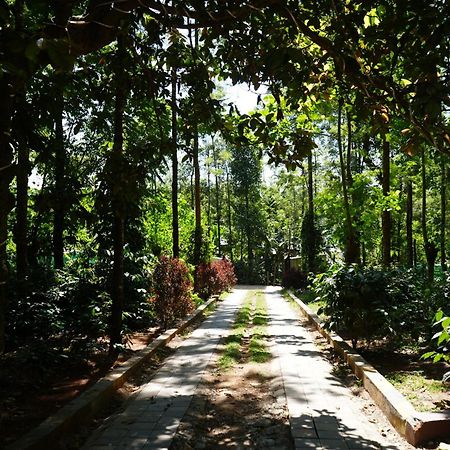 Silver Springs Homestay Chickmagalur Чикмагалур Екстер'єр фото